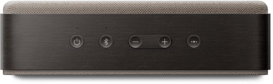 Bose SoundLink Home Bruin
