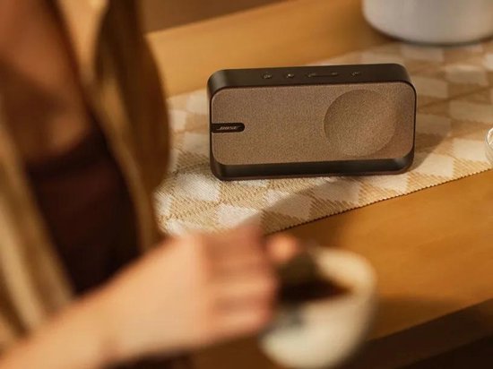 Bose SoundLink Home Bruin